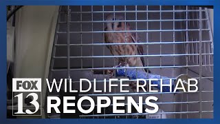 Wildlife Rehabilitation Center of Northern Utah reopens after over a year