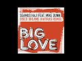 Seamus Haji, Mike Dunn - Disco Dreams Hatiras (Extended Remix)