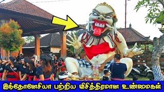 இந்தோனேசியா பற்றிய விசித்திரமான உண்மைகள் | Amazing Facts about Indonesia | Tamil Galatta Facts