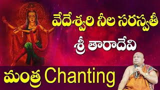 Tara Devi Mantra chanting | Vedeswari Neela saraswathi Mantra | Dasha Maha Vidya | Siddhaguru