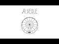 Alveole