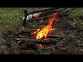 forest solo camping girl