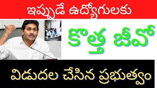 ఉద్యోగులకు ఇప్పుడే కొత్త జీవో విడుదల new GO for employees in AP.