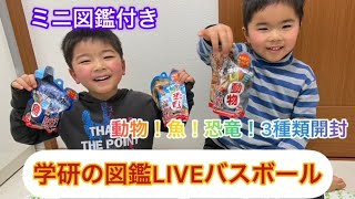 双子が学研の図鑑LIVEバスボール開封！動物・魚・恐竜の一挙3種類！【ミニ図鑑付き】