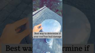 Dead HAIL give away #investmentproperty #hail #hailstorm #knowledge #shorts