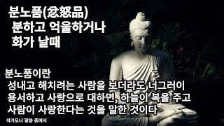 분노품(忿怒品), 분하고 억울하거나 화가 날때 - 석가모니 말씀