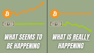 The Asset Outperforming EVERYTHING