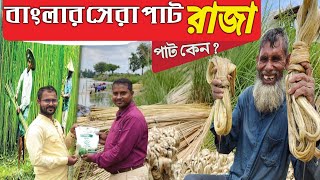 পশ্চিমবঙ্গের সেরা পাটের বীজ,রাজা পার্ট বীজ,খরচ কম লাভ বেশি /jute farming in west bengal