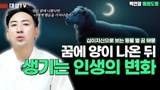 [대성TV📺] 꿈에서 양을 안고 있다면 나에게 어떤 영향을 끼칠까? - 십이지신 꿈 해몽 뱀편 - [용한 점집 인천 백연암 매화도령]