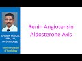 renin angiotensin aldosterone axis