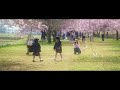 桜舞う季節 sakura in japan cinematic with bmpcc4k sigma 24 105 f4 art