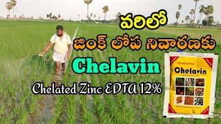 🌾వరి పైరు లో జింక్ లోపం నివారణ