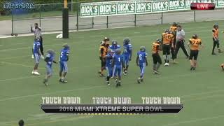 2018 Miami Xtreme 12u Superbowl Highlights