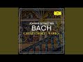 J.S. Bach: Mass in B Minor, BWV 232 / Agnus Dei: Dona nobis pacem