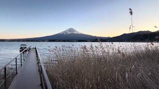 【すすきと富士山】〜すすきのささやき〜@河口湖※すこし自然の中でゆっくりしてみませんか#自然癒しテロ#急に出てきた人ごめんなさい#shorts#少しでも癒しの時間を#ありのままの自然#富士山#河口湖