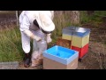 Beekeeping Basics with Bruce Clow - Ceracell Top Feeder.