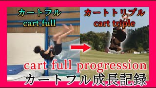 Cart Full Progression (カートフル成長記録)