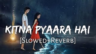 Kitna Pyaara Hai Ye Chehra [Slowed+Reverb] - Udit Narayan, Alka Yagnik | Raaz | Lofi Music Channel
