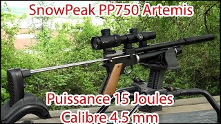 pp750 snowpeak, Artemis pistolet à plombs PCP