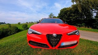 Alfa Romeo Stelvio B-Tech 2019 Headlights/Scheinwerfer 4K