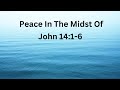 Peace In The Midst Of | Pastor Ervin D. Powell | New Vision Church Ministries NC | 09/07/25