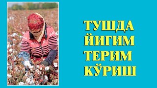 Туш табири - Тушда Йигим терим куриш