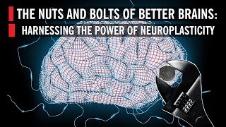 The Nuts and Bolts of Better Brains: Harnessing the Power of Neuroplasticity