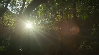 Billie eilish, khalid - lovely song | explore nature | whatsapp status | ❤️