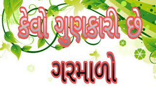 કેવો ગુણકારી છે ગરમાળો