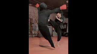 Wing Chun kicks skills #shorts #kungfu #fighting