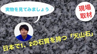 日本で1、2の石質を持つ「天山石」