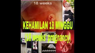 KEHAMILAN 18 MINGGU (18 WEEKS ' PREGNANCY)