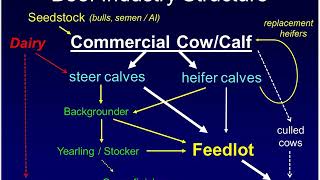 USDA APHIS NAHMS Beef Cow/Calf Industry An Overview