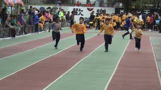 20171125 順天國小71週年運動會-100公尺賽跑(宜祐)