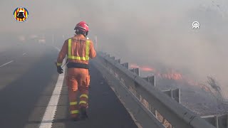 Εκατοντάδες άνθρωποι απομακρύνθηκαν λόγω δασικής πυρκαγιάς στη Βαλένθια της Ισπανίας