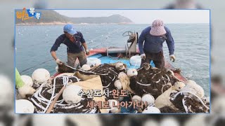 [비즈톡톡] 완도 해조류, 세계로 나아가다 / 연합뉴스TV (YonhapnewsTV)