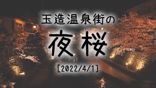 【島根の桜】玉造温泉街の夜桜（島根県松江市玉湯町）〜2022/04/1〜