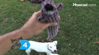 How to Play 6 Games with Your Dog How to Play 6 Games with Your Dog