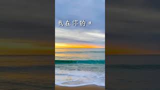 每日一句愛情語錄 浪漫愛情語錄分享 心動的愛情句子 愛的名言 EP 19 #shorts #傷感語錄 #感情語錄 #浪漫 #心動