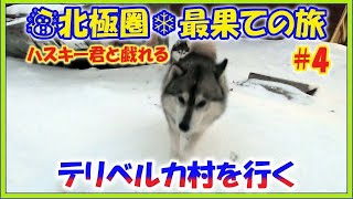 北極圏最果ての旅【テリベルカ村を行く】ハスキー君と戯れる #4