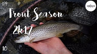 Angeln auf Bachforelle im Sommer | Fishing for Brown Trout | Trout season 2017 X