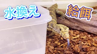 サルファモニターのお世話(Sulfer Water Monitor)