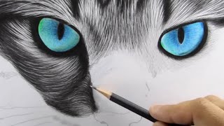 How to Draw Realistic Cat for BEGINNERS | Fur Drawing Technique | Aniket Shinde Art | Dear Comrade