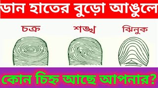 হস্তরেখা শাস্ত্রে হাতের বুড়ো আঙুলে তৈরি চক্র,শঙ্খ এবং ঝিনুকের ফল কী?সমুদ্রশাস্ত্র কি বলছে এই বিষয়ে