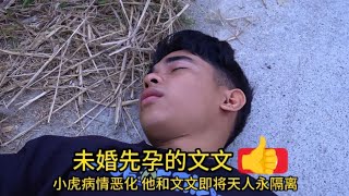 187：小虎晕到在路边，这一次文文将和他天人永隔