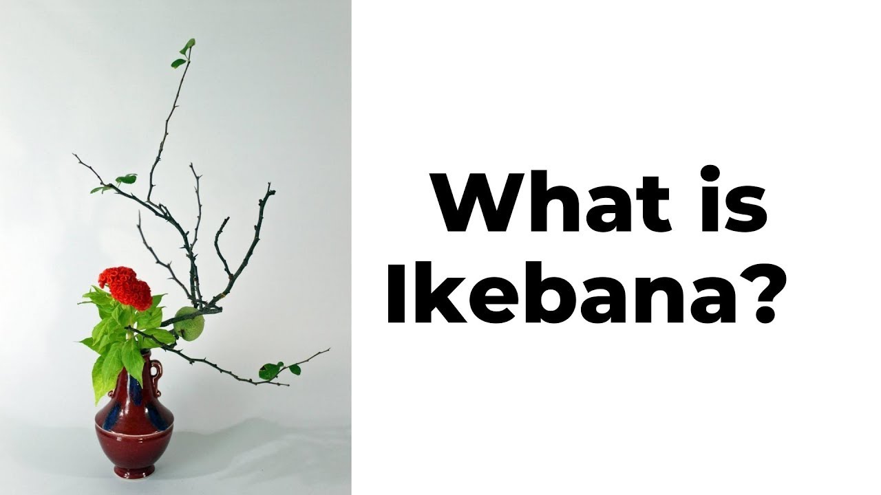 What Is Ikebana? - YouTube