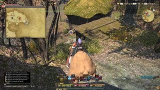 North shroud FFXIV full exploration