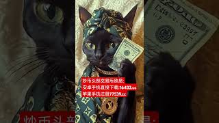 风暴比特币 感恩大屠杀#比特币 #比特币 #btc #eth #以太坊 #山寨币 #美股 #股票 #币圈 #比特币合约 #数字货币 #财经 #投资 #金融 #加密货币 #炒币 #比特币合约