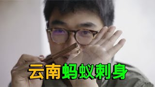 你吃过云南菜吗？蚂蚁100块一斤，小哥试吃后这样说！