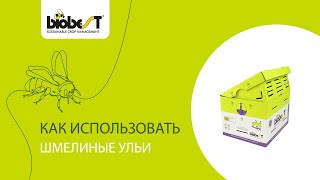 Как использовать шмелиные ульи компании Biobest?